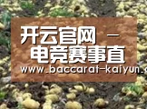 种植基地八(图1)