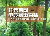 种植基地九