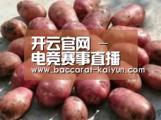 产品展示标题5