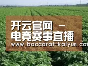 种植基地五