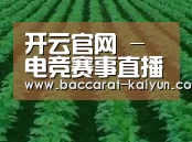 种植基地六(图1)