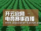 种植基地六