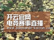 种植基地七