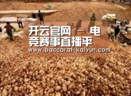 种植基地二
