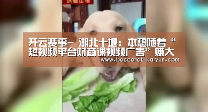开云赛事-
湖北十堰:本想随着“短视频平台财商课视频广告”赚大钱反被诈骗34万!(图1) 开云赛事