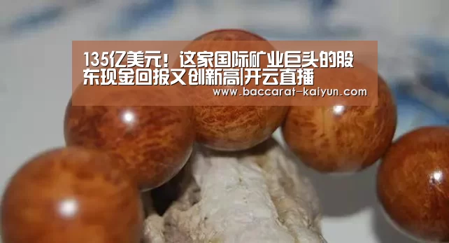 135亿美元!这家国际矿业巨头的股东现金回报又创新高|开云直播(图3) 开云直播