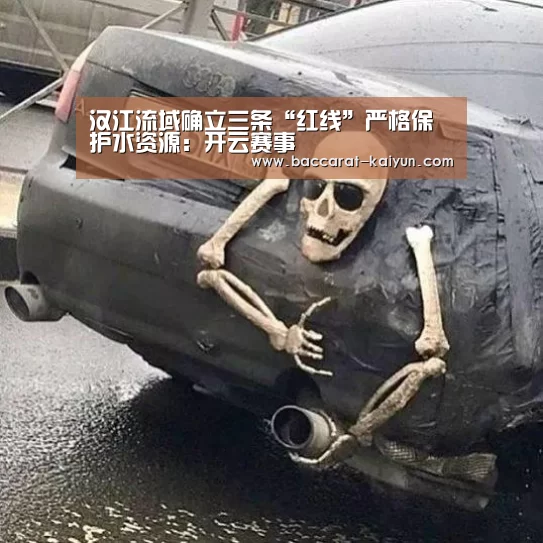 开云电竞