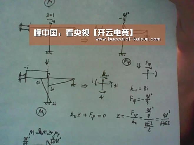 懂中国,看央视【开云电竞】(图2) 开云赛事