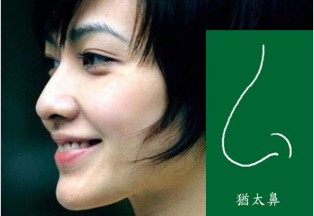 开云赛事
