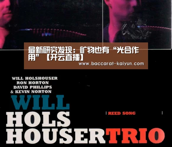 最新研究发现:矿物也有“光合作用”【开云直播】(图2) 开云赛事