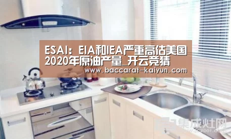 ESAI:EIA和IEA严重高估美国2020年原油产量_开云竞猜(图1) 开云直播